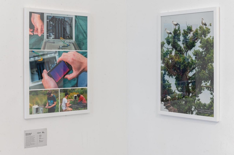 Nature Based Interactions