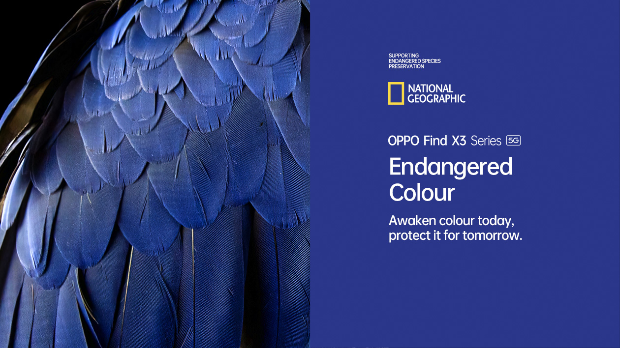 Endangered Colour
