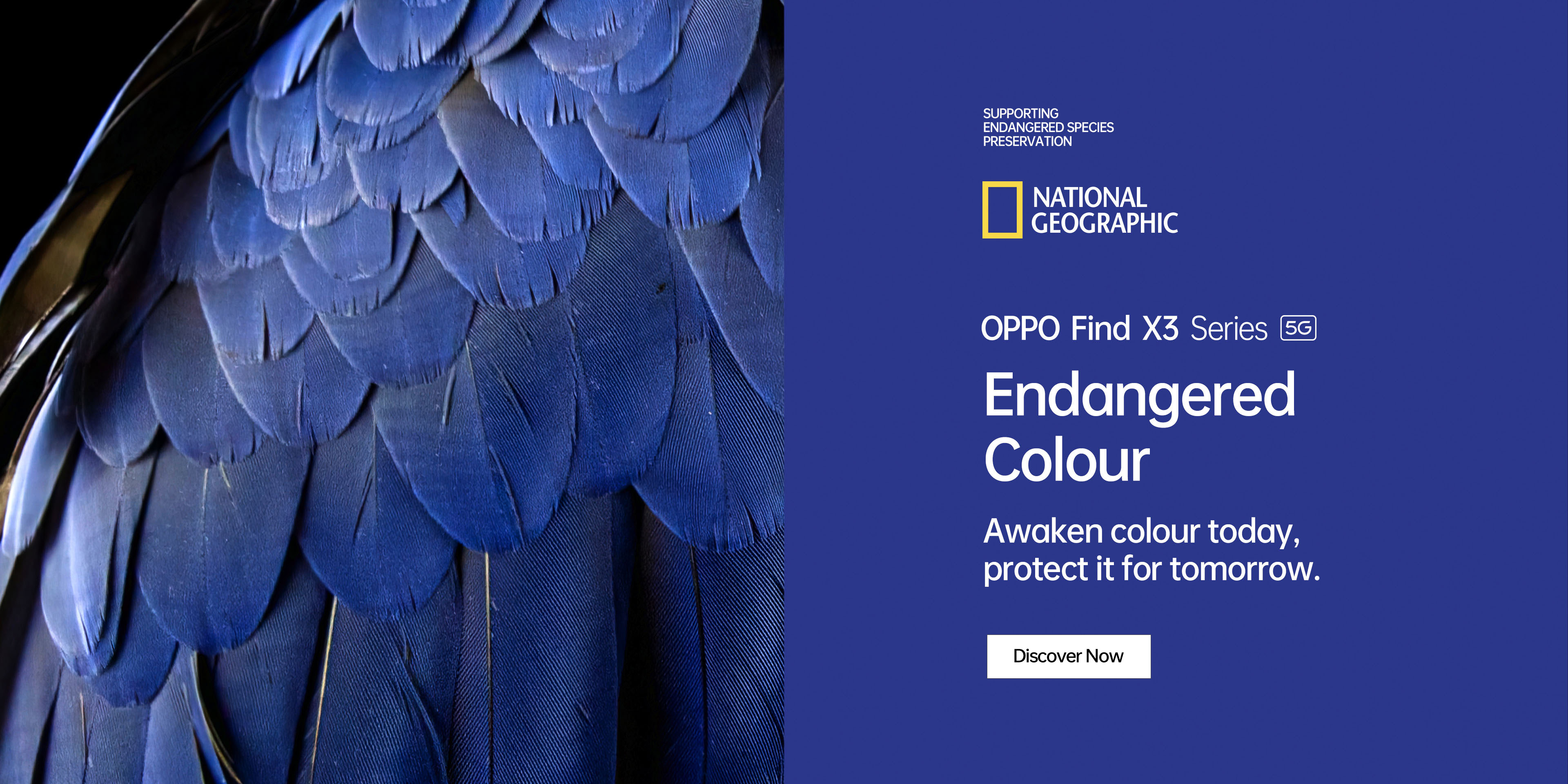OPPO Endangered Colour-with National Geographic