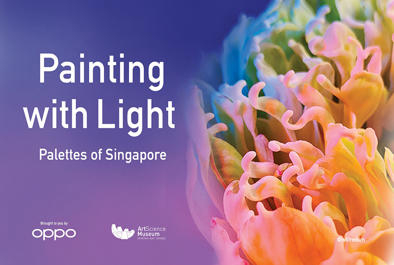OPPO Partnered with Singapore ArtScience Museum to Host a Photography Exhibition, “Painting with Light”