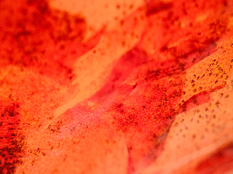 An image from Adele Chan’s ‘Food for Thought’ series