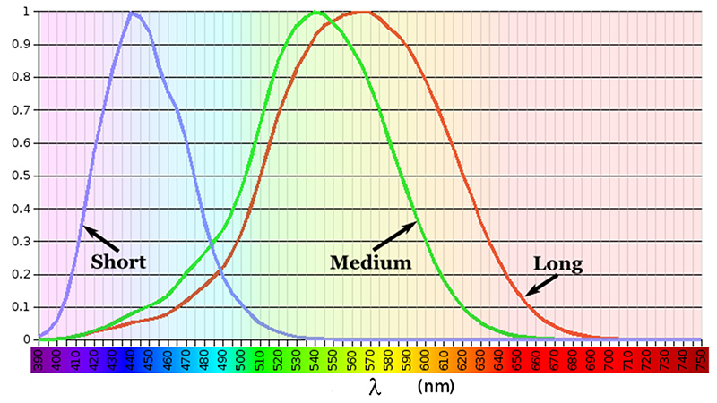 How OPPO tailors its billion-colour Find X3 Pro for every person’s vision