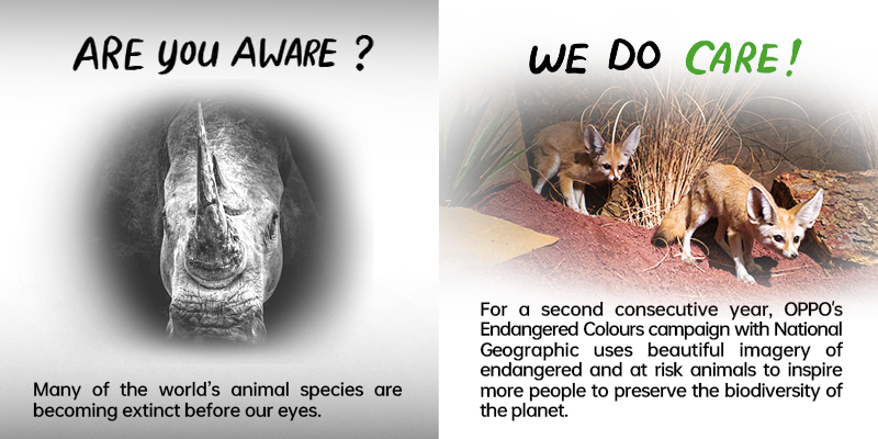 OPPO Uses Technology to Add a Touch of Green to the World This Earth Day