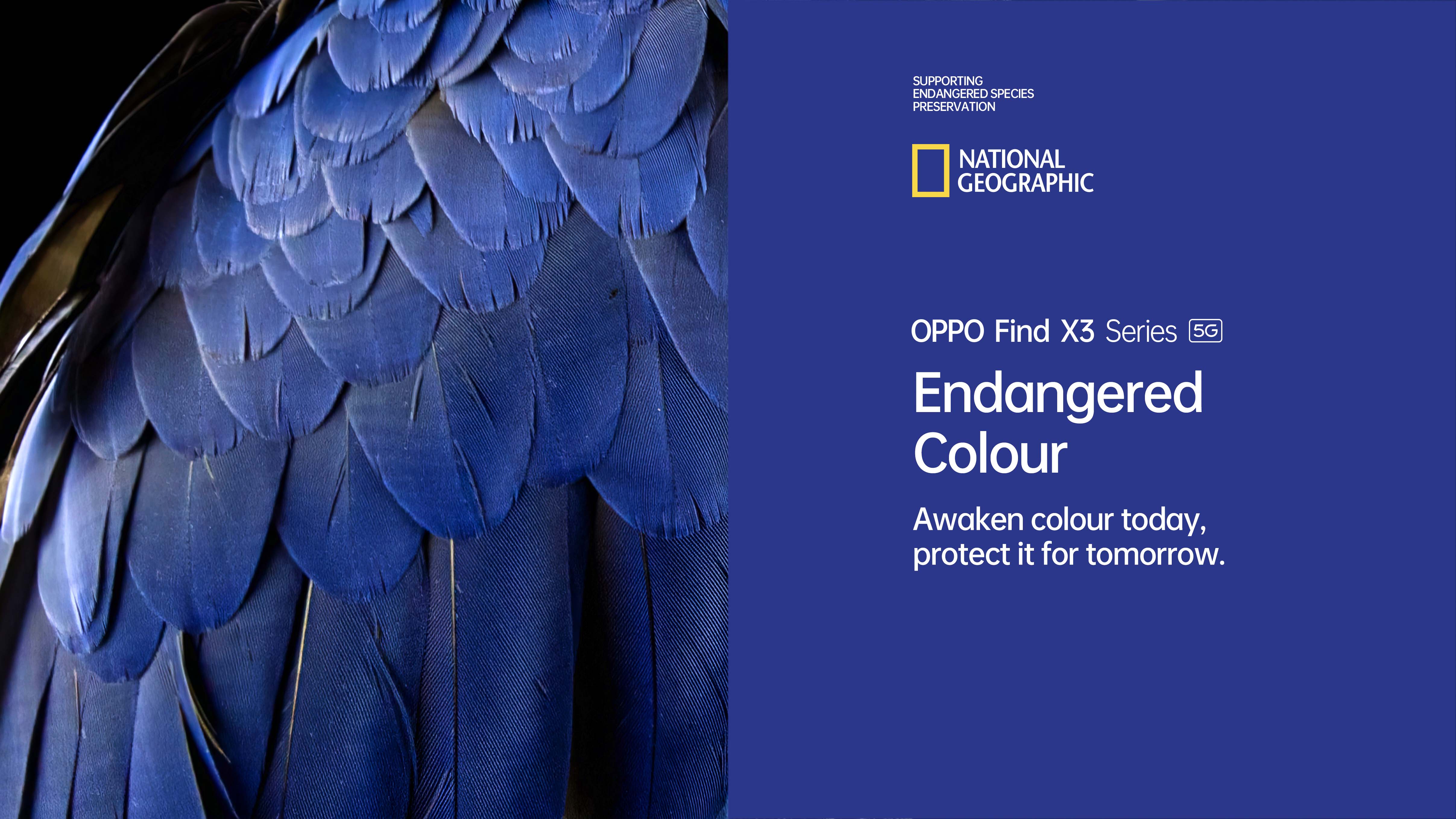 OPPO Endangered Colour - com a National Geographic | OPPO Portugal