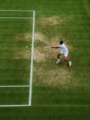 Inside the Court of Wimbledon