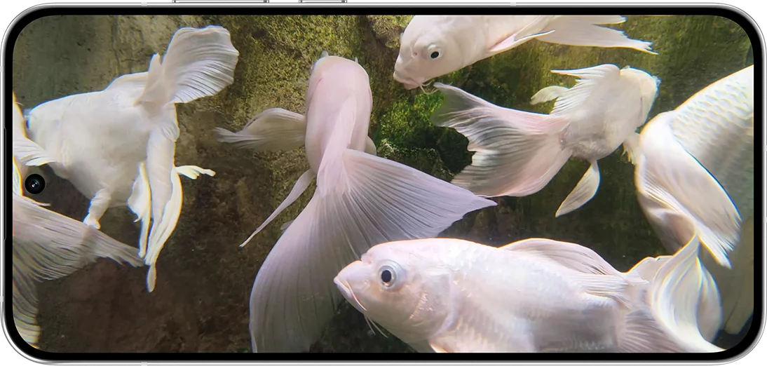 Underwater 4K Video Phone