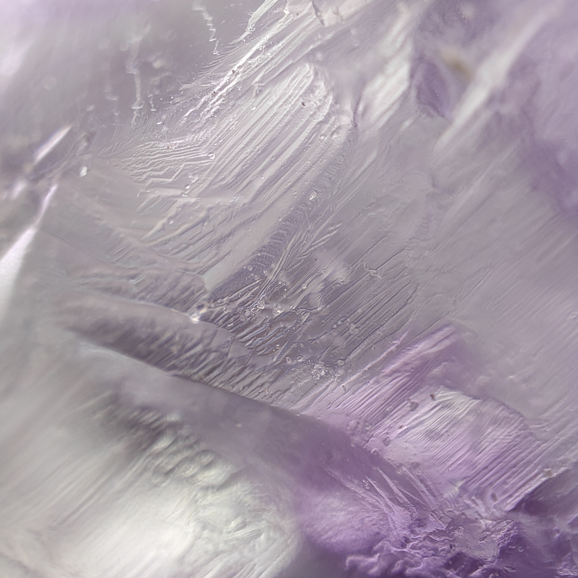 OPPO Find X3 Pro - Microlens - Bloemblad