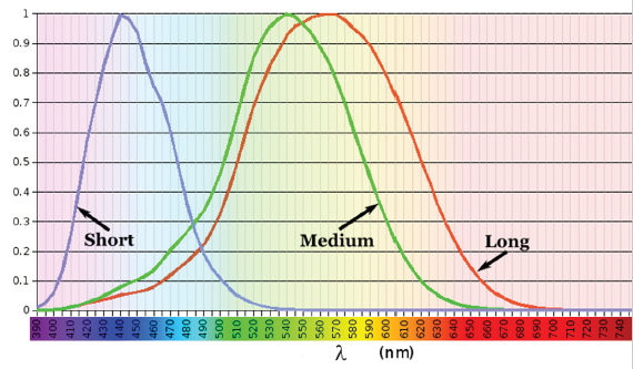 OPPO Find X3 Pro Colour Vision Enhancement