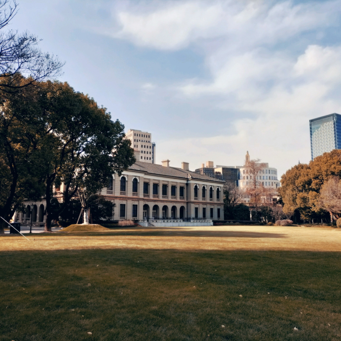 A74 5G
                        1 أنيق وضع المرشح