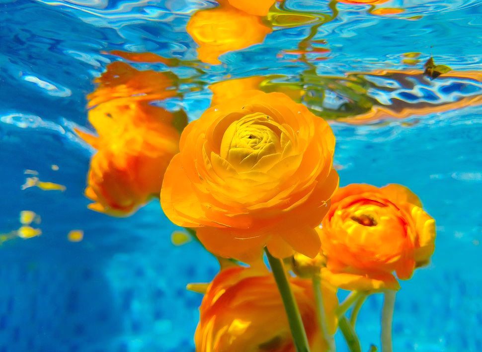 OPPO F29 5G Ultra-Clear Camera 4