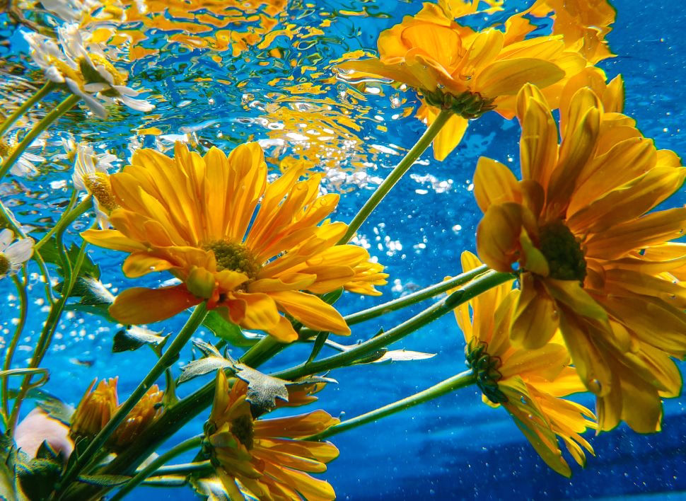 OPPO F29 Pro 5G Ultra-Clear Camera 4