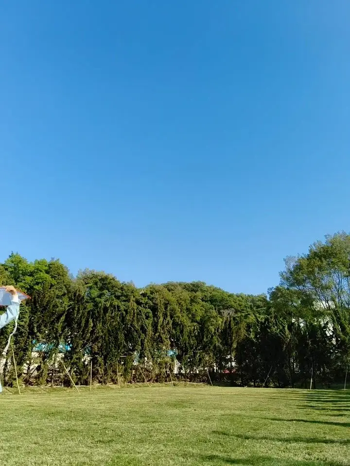 OPPO F31 Pro Motion Photo