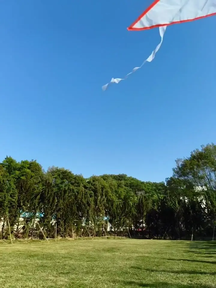 OPPO F31 Pro Motion Photo