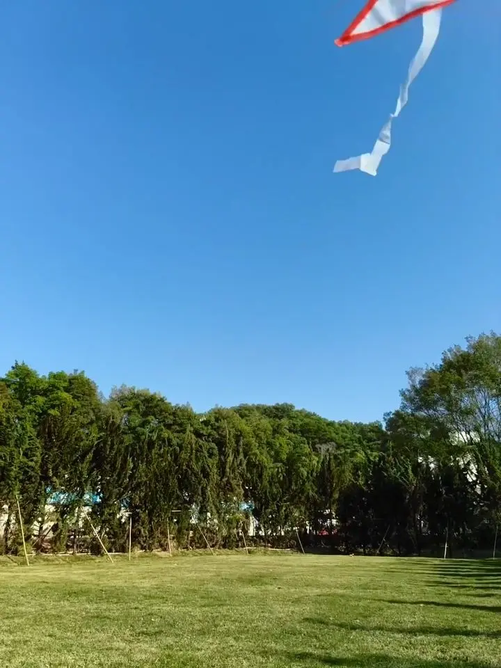 OPPO F31 Pro Motion Photo