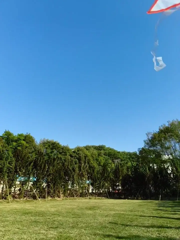 OPPO F31 Pro Motion Photo