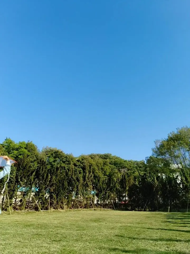 OPPO F31 Pro+ Motion Photo