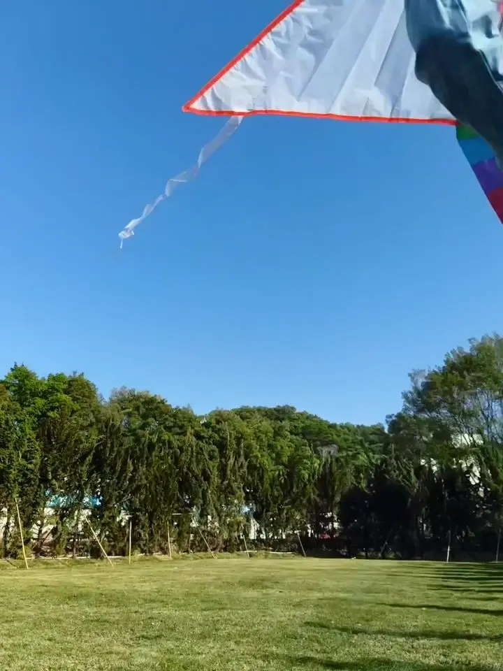 OPPO F31 Pro+ Motion Photo