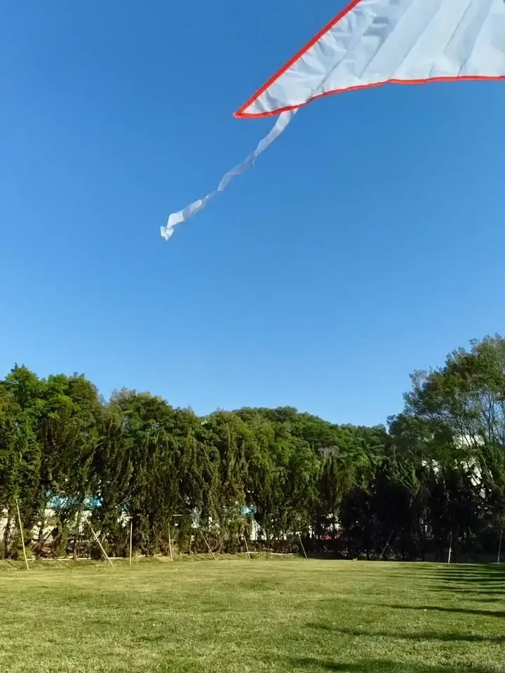 OPPO F31 Pro+ Motion Photo