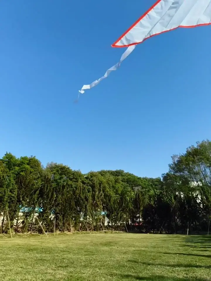 OPPO F31 Pro+ Motion Photo