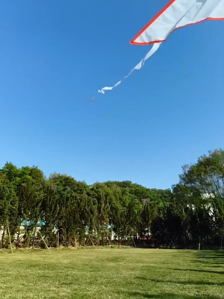 OPPO F31 Pro+ Motion Photo