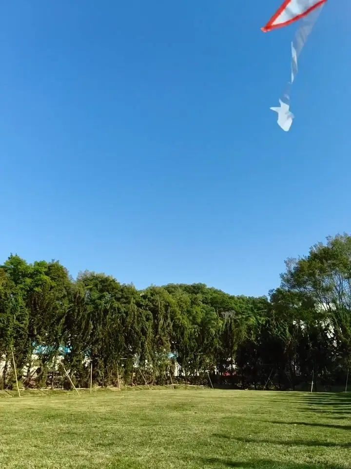 OPPO F31 Pro+ Motion Photo