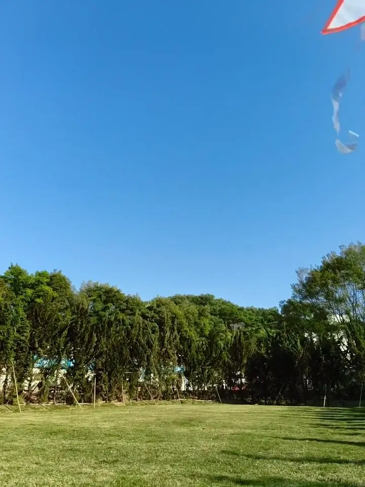 OPPO F31 Pro+ Motion Photo