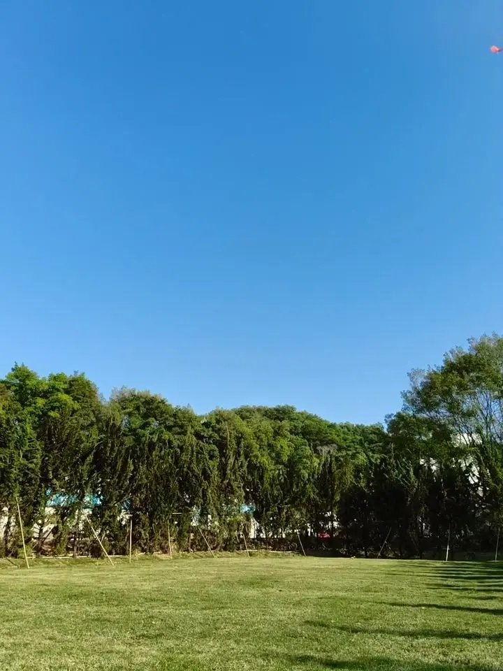 OPPO F31 Pro+ Motion Photo