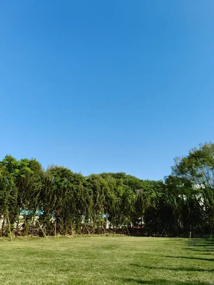 OPPO F31 Pro+ Motion Photo