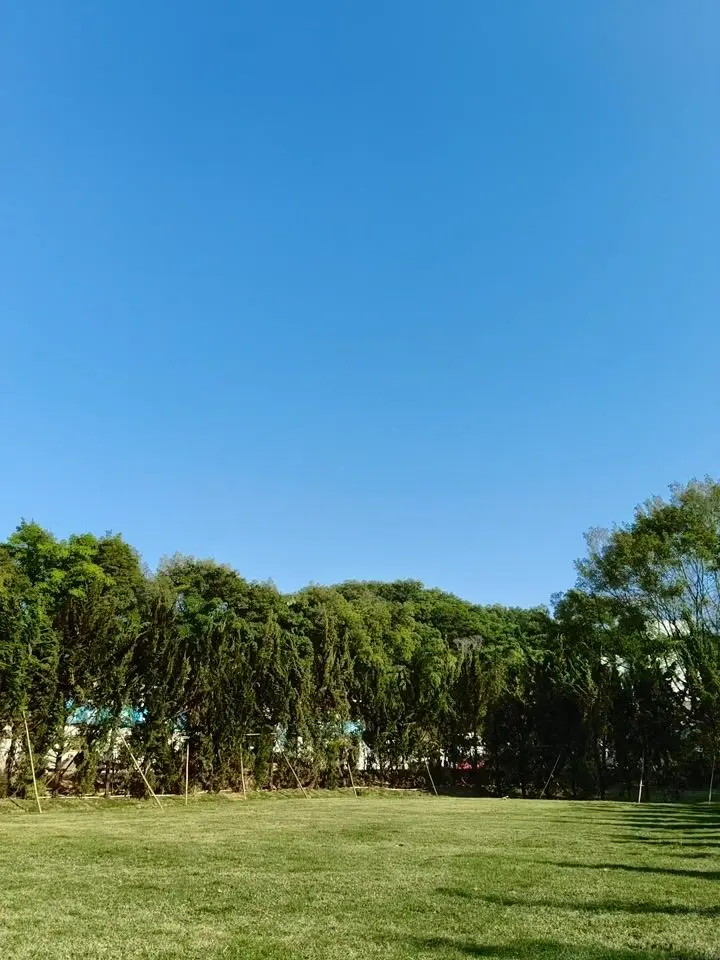 OPPO F31 Pro+ Motion Photo