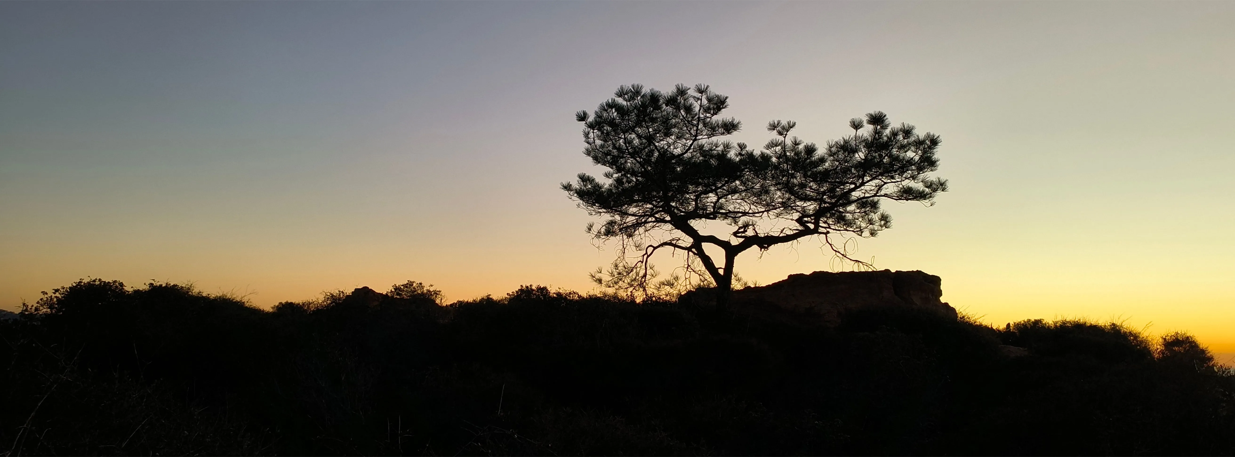 Hasselblad Camera for Mobile