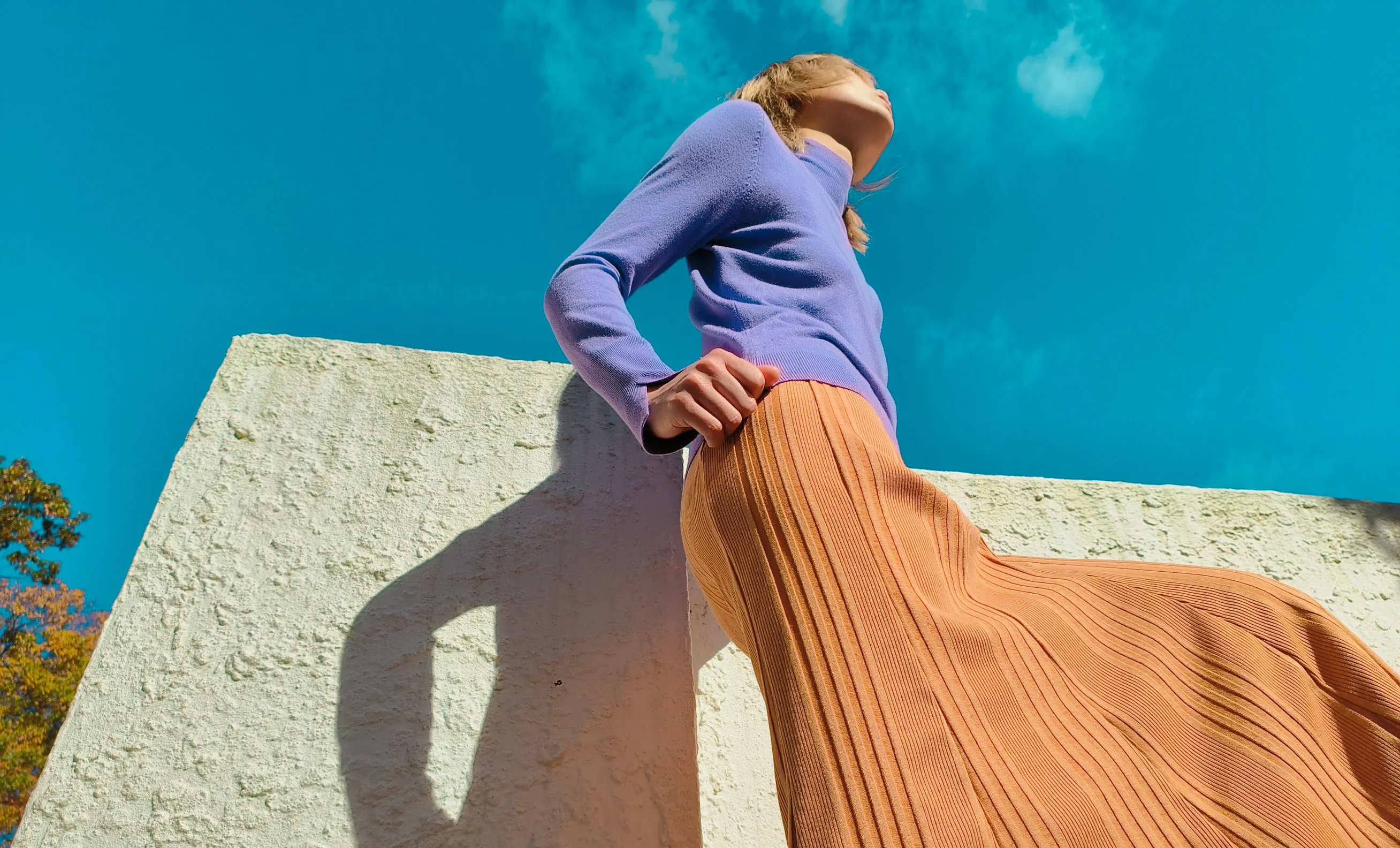 Hasselblad Camera for Mobile