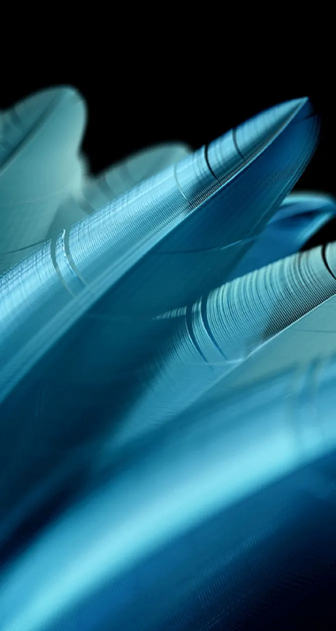 Find N2 Flip Cover Screen