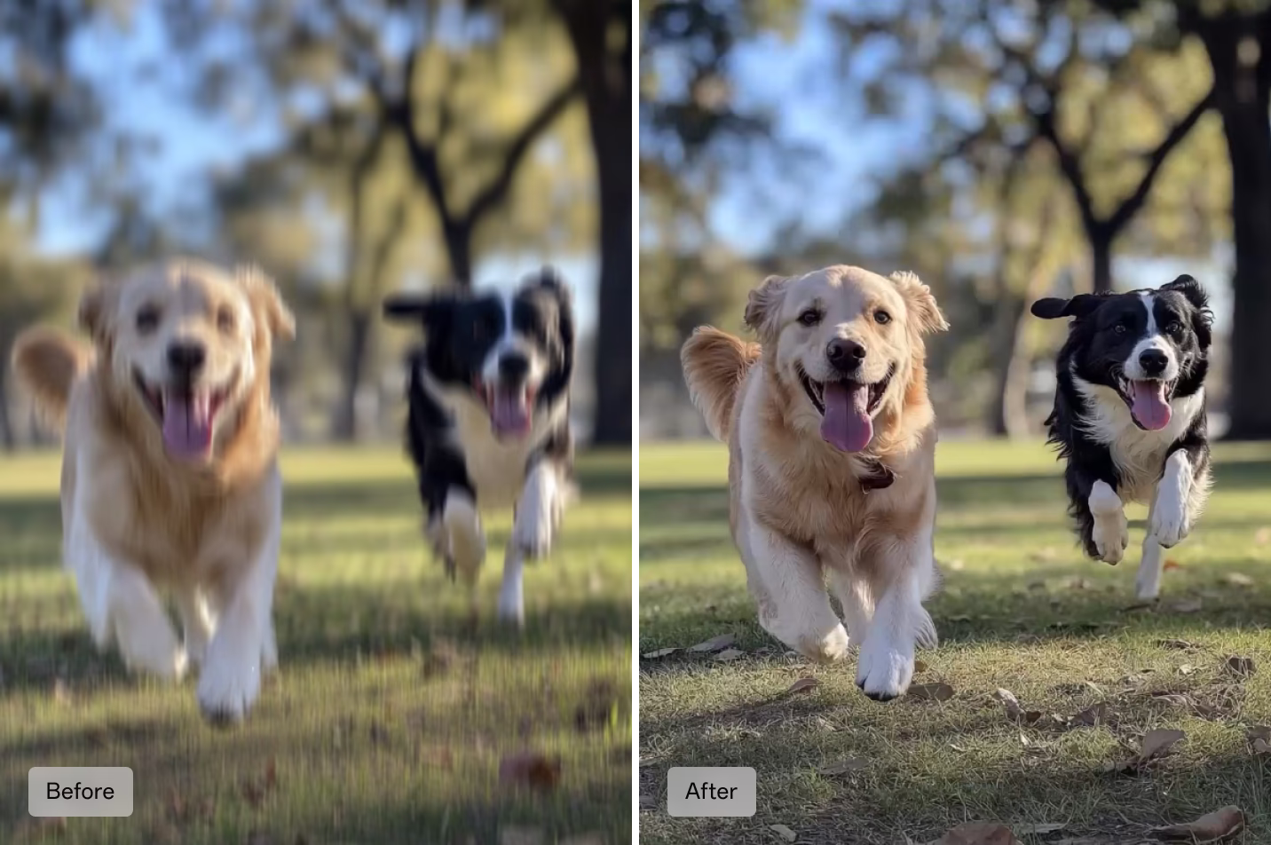 AI Photo Remaster - Image 3