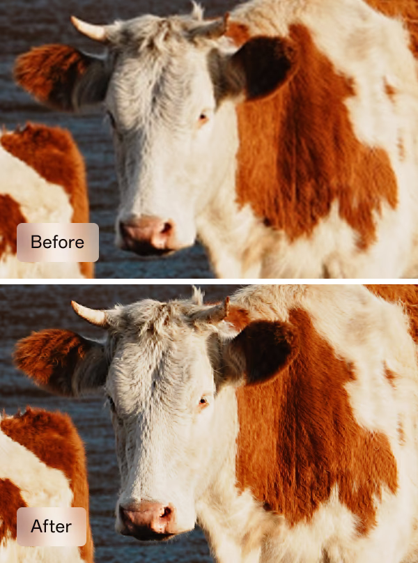 AI Photo Remaster - Image 1