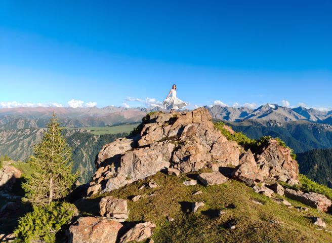 Where Variety Meets Consistency - Image 1