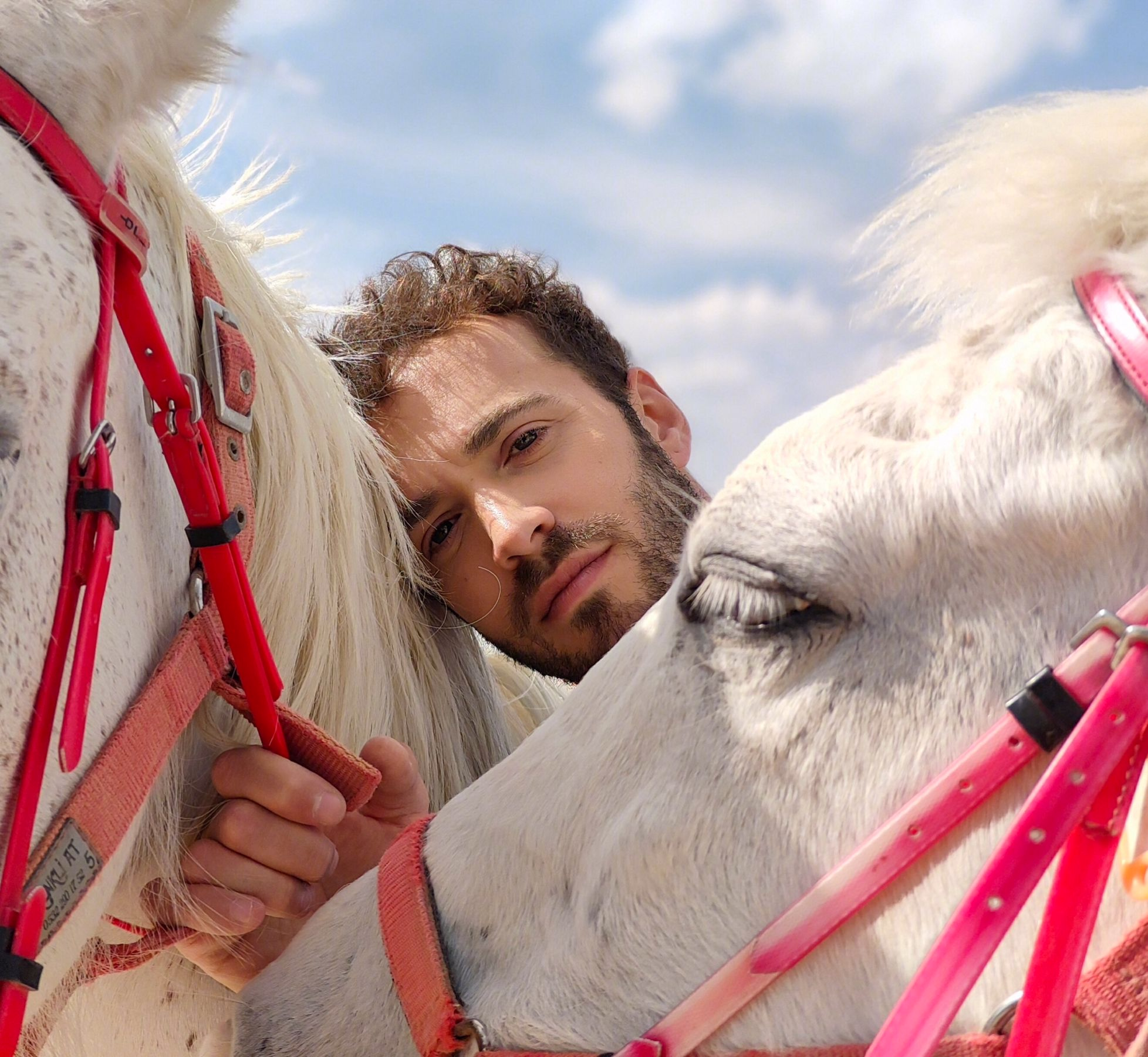 oppo Portrait Expert Engine