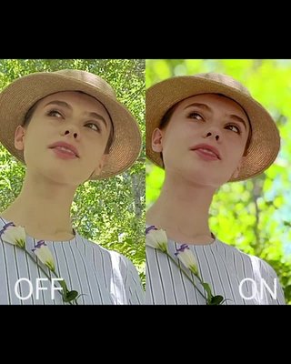 Bokeh Flare Portret-Dag