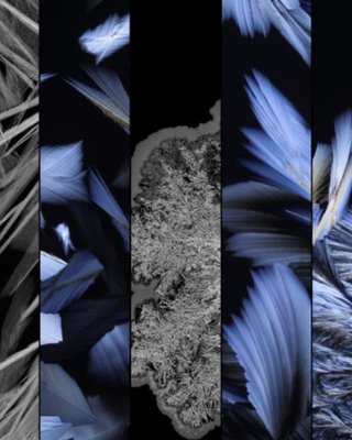 مشروع الخلفيات الفنية