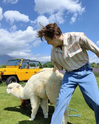 لقطات الفلاش السريعة