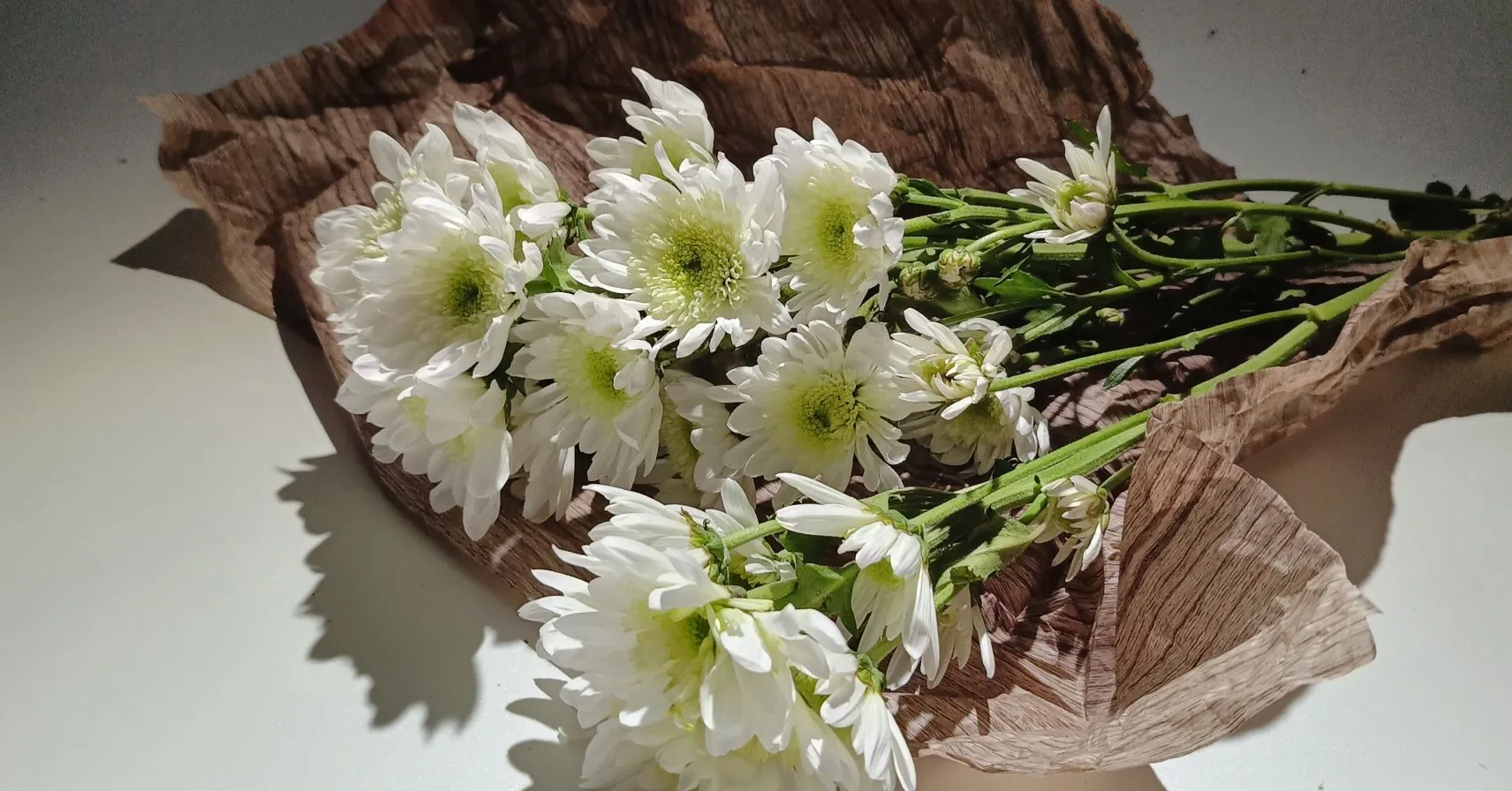 صورة بتقنية ال Microlens