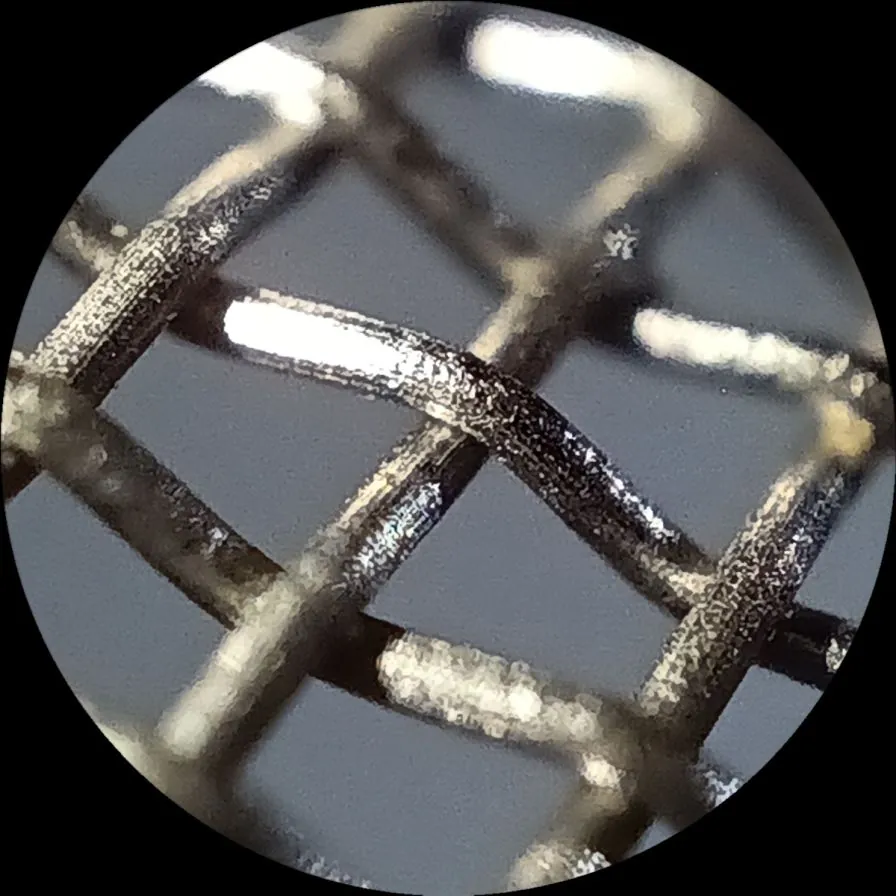 صورة بتقنية ال Microlens