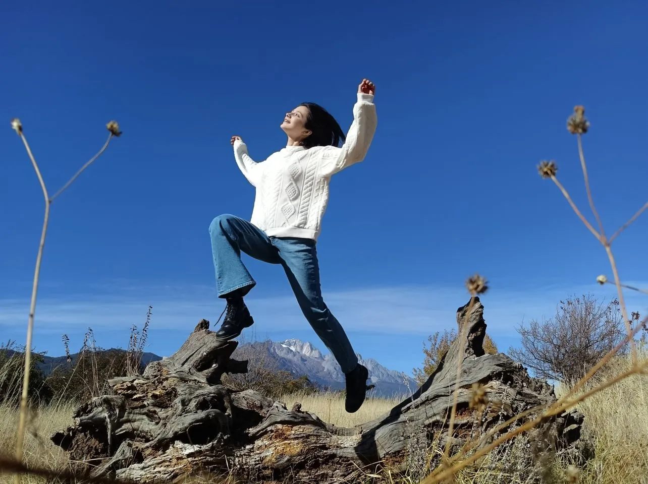 لقطة فلاش للصورة