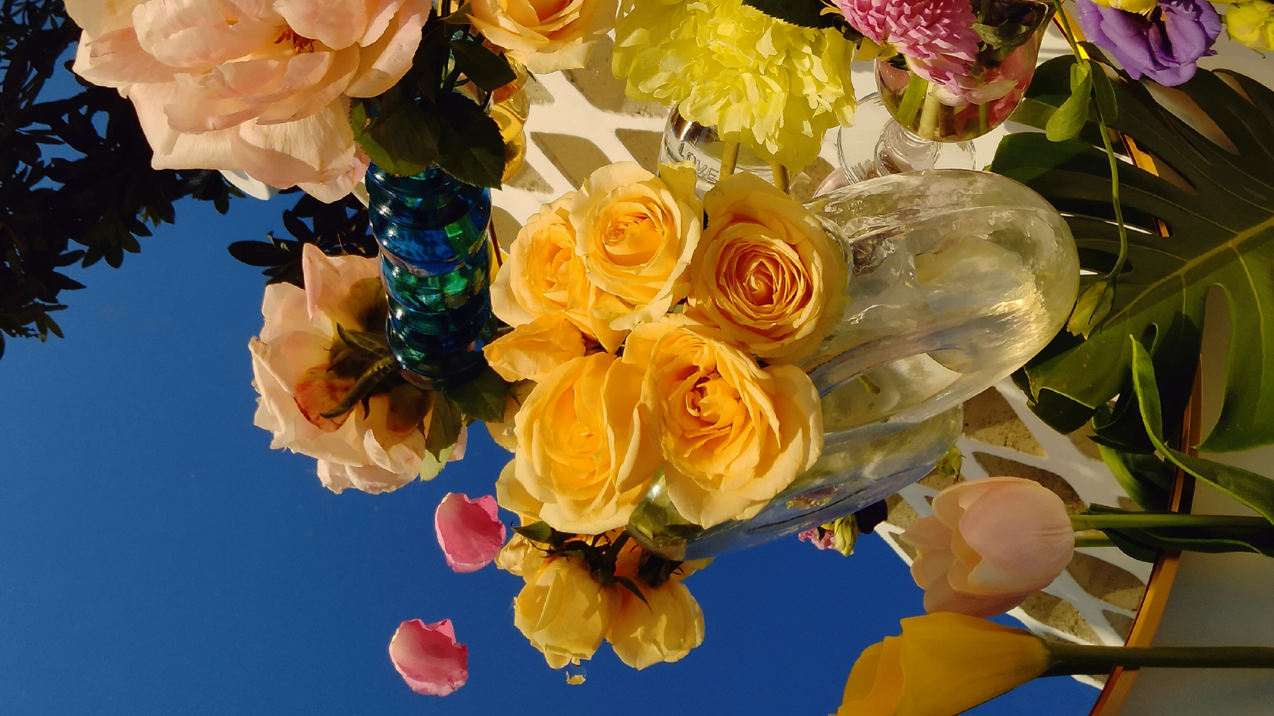 OPPO F17 AI Dazzle Color recognizes dozens of scenarios 