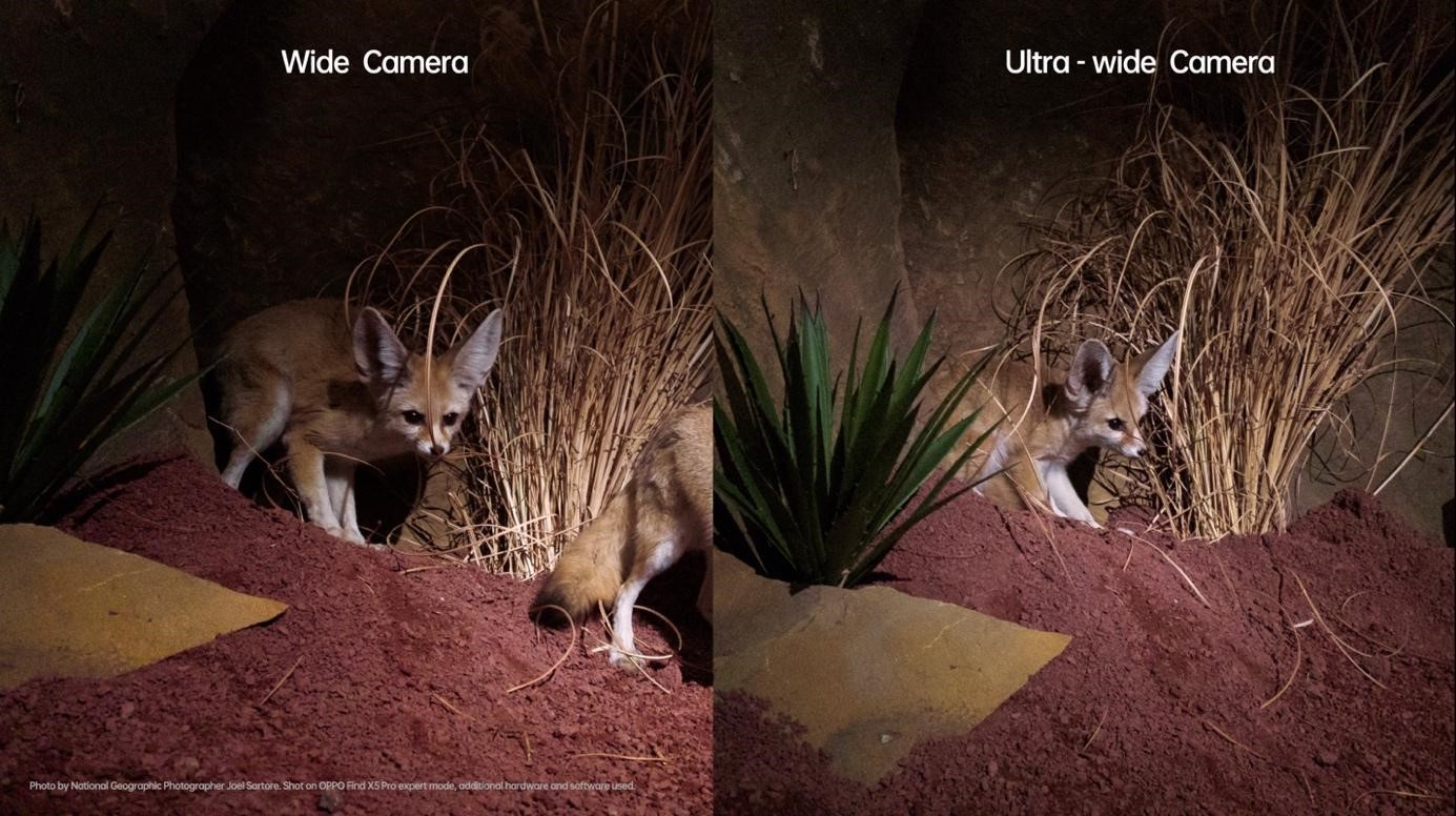 OPPO усиливает свое присутствие на рынке флагманских устройств с запуском серии смартфонов Find X5