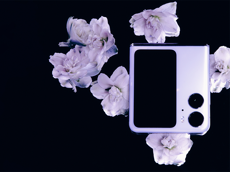 OPPO предлагает открыть летний сезон без складок! Идеальные формы от мирового бренда смартфонов.