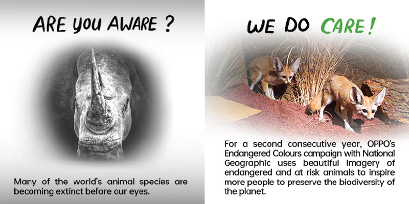 OPPO Uses Technology to Add a Touch of Green to the World This Earth Day