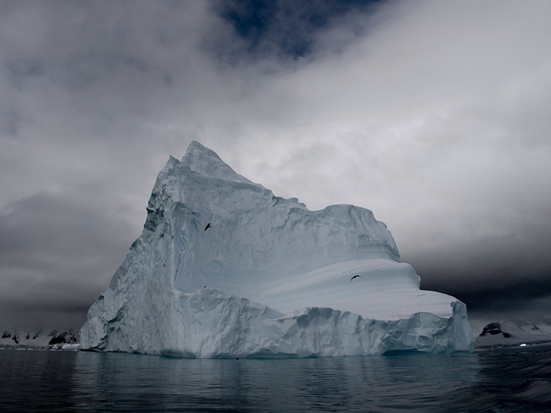 Uncover Antarctica: National Geographic x OPPO | OPPO