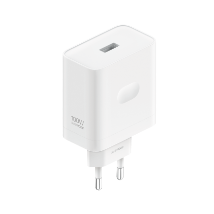 OPPO SUPERVOOC 100W Power Adapter Kit