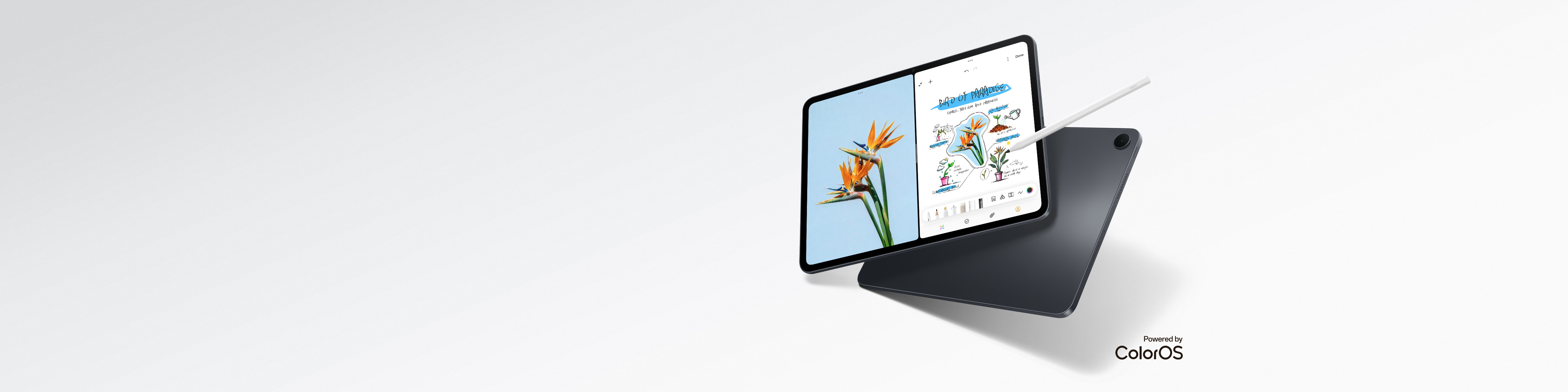 OPPO Pad 5Phiên Bản Màn Hình Nhám