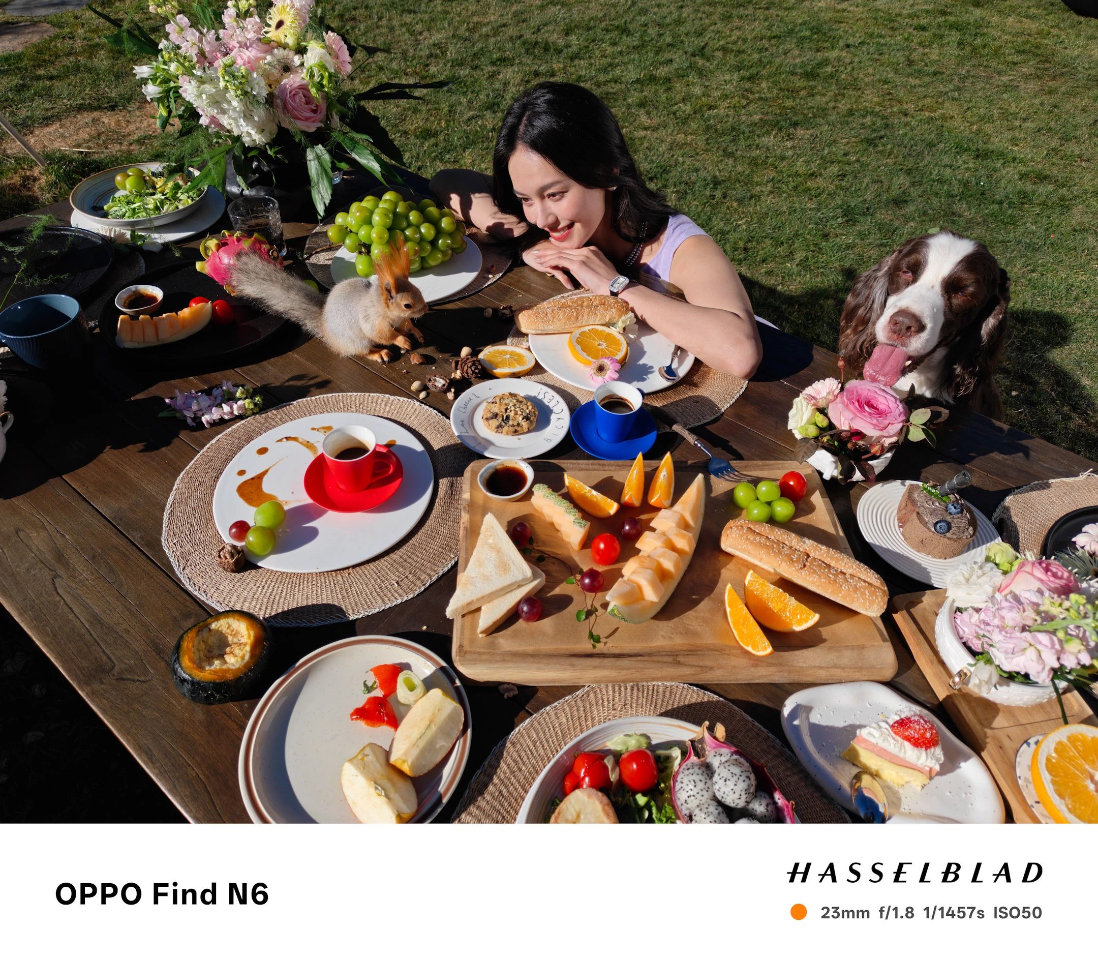 Oppo Find N6 Fold 5G Dual SIM 16GB+512GB Storage Phone (Global Version) 29 Shot with 200MP Hasselblad Ultra-Clear Main Camera